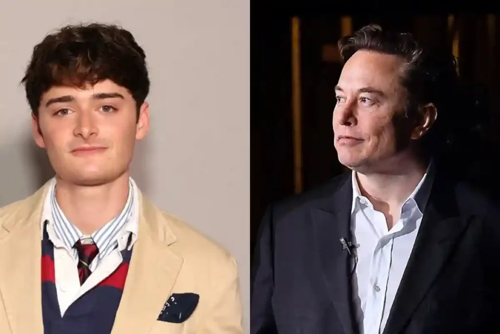 Elon Musk Stranger Things criticism