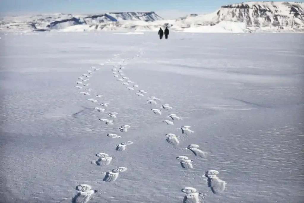 streamer quits Arctic survival challenge safety