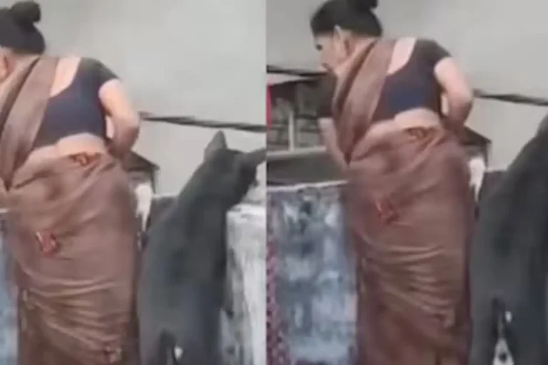 Dogesh Bhai Joins Neighbourhood ‘Aunties’ to Watch Street Kalesh, Internet Can’t Stop Laughing Dogesh Bhai viral neighbourhood kalesh video