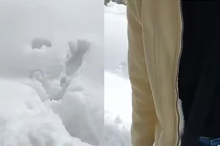 Manali tourist cab driver argument viral video