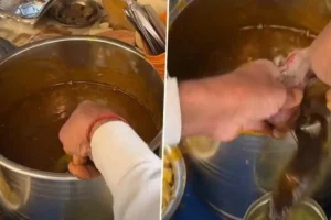 pani puri rat viral video