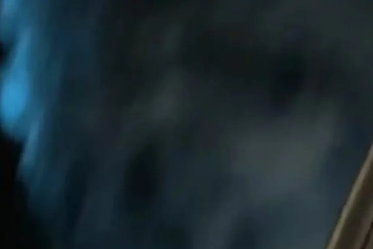 Juhu Beach bioluminescence reason