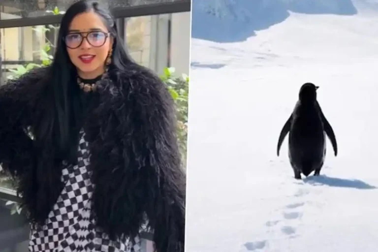 Tanya Mittal viral penguin trend video