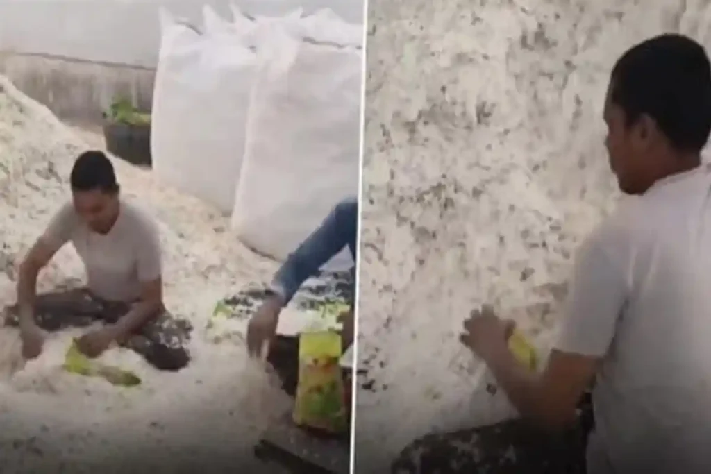 Yuvraj Poha Viral Video