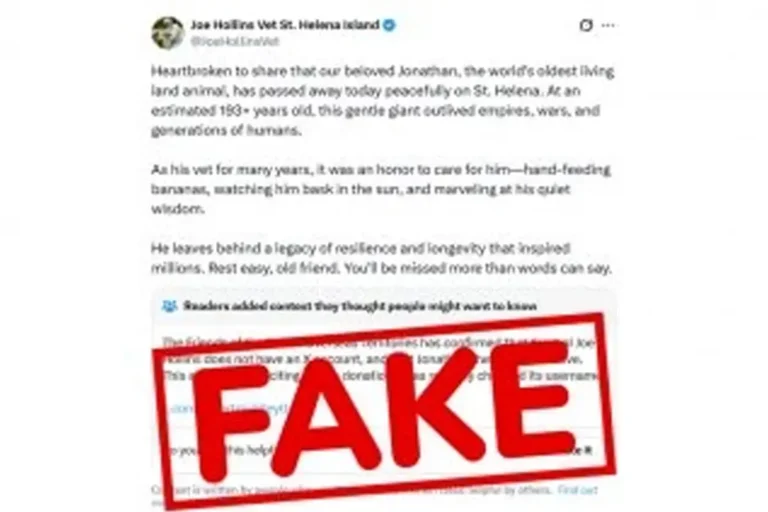 Is Jonathan the Tortoise Dead?